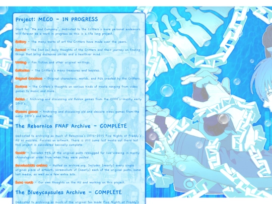 projects screenshot