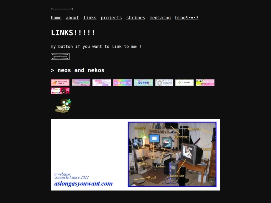 links screenshot