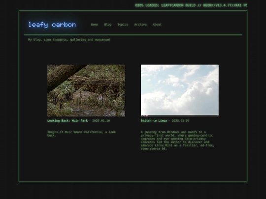 blog screenshot
