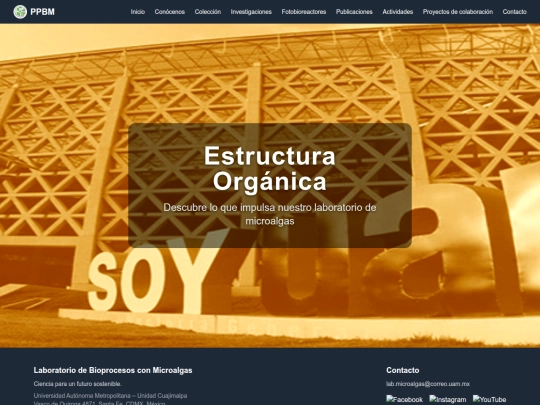 PLANTILLA screenshot
