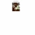 spoingus.yorniq.xyz avatar