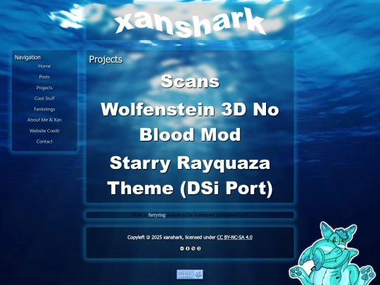 projects screenshot