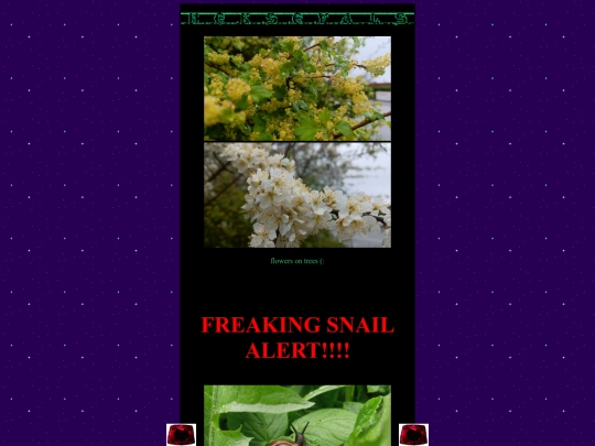gallery screenshot