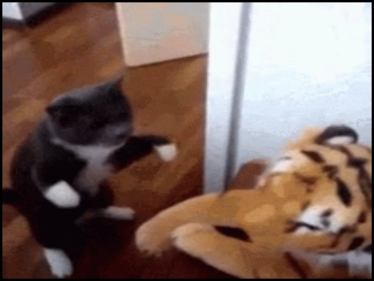 thepaw screenshot