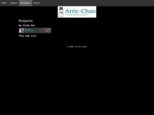 projects screenshot