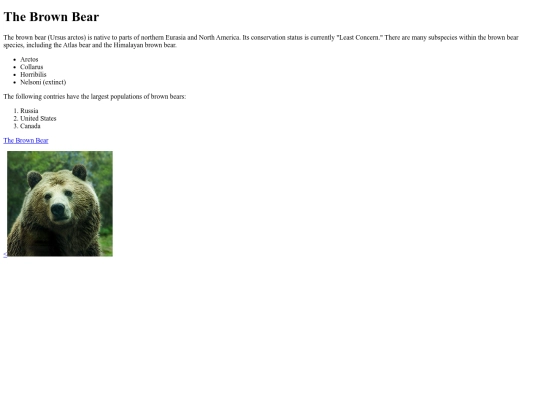 Code Cademy/Brownbearindex screenshot