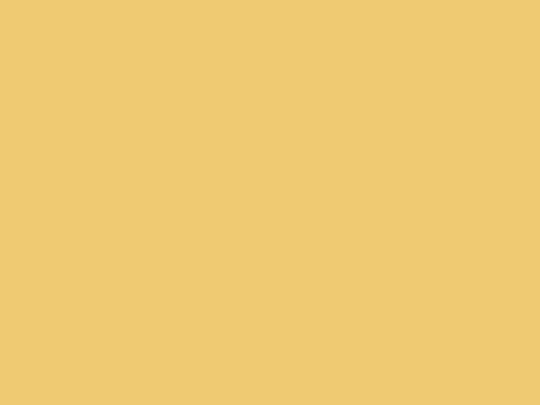 Squirrel_in_painting screenshot