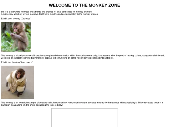 monkey/MONKEY screenshot