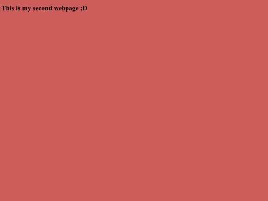 newfile screenshot