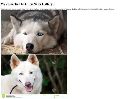 Gallery/Web screenshot