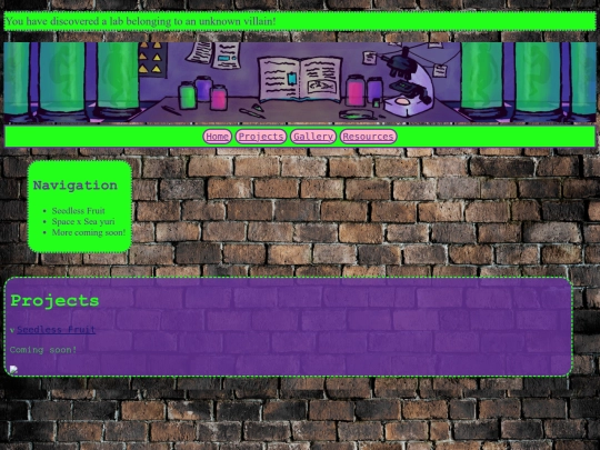 projects screenshot