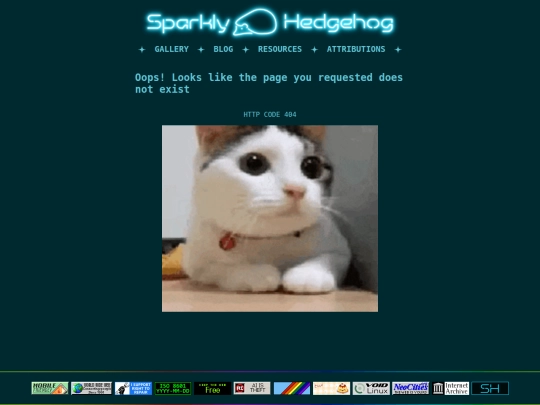 404 screenshot