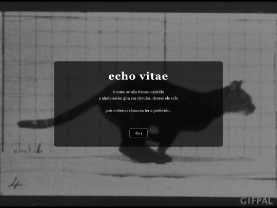 echo screenshot