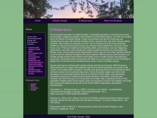 pages/globalissue screenshot