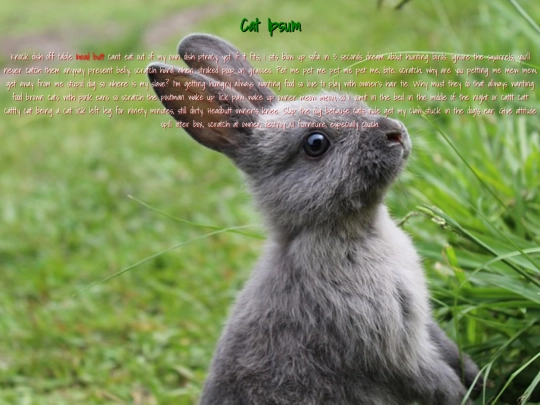 Web-Design/2-CSS/csspractice2 screenshot