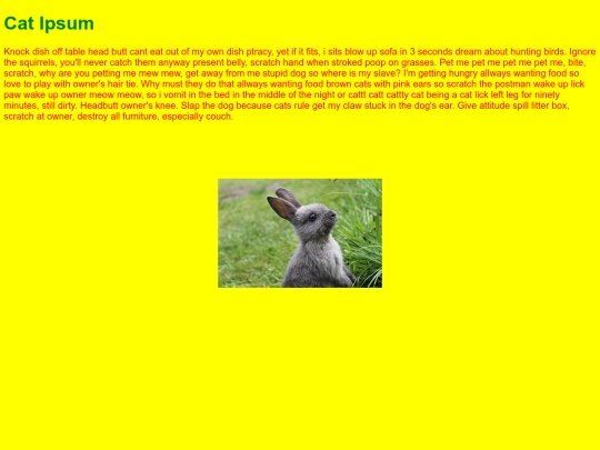 Web-Design/2-CSS/cssproject1 screenshot