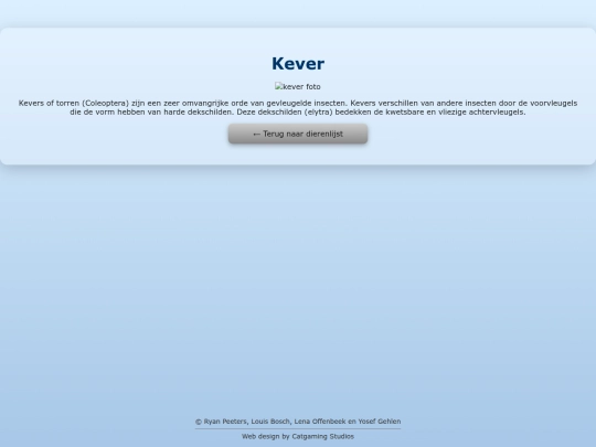 kever screenshot
