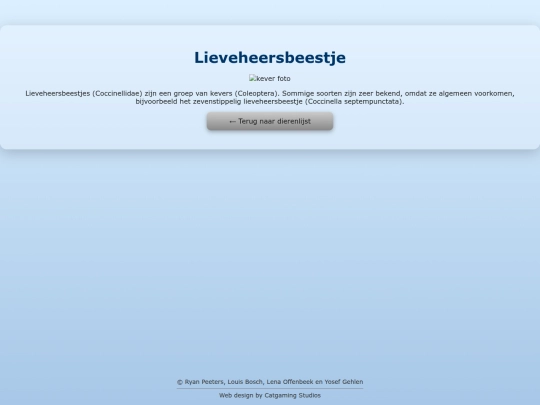 lieveheersbeestje screenshot