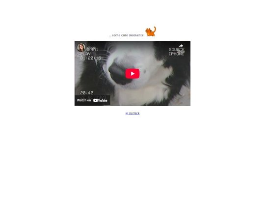 video screenshot