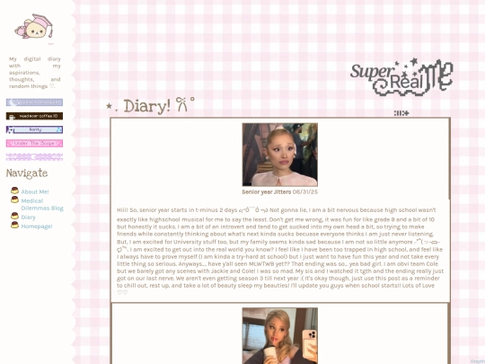 diary screenshot