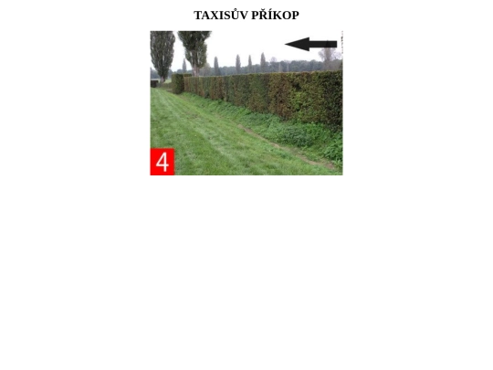 stranka5 screenshot