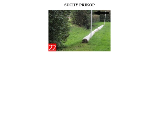 stranka6 screenshot
