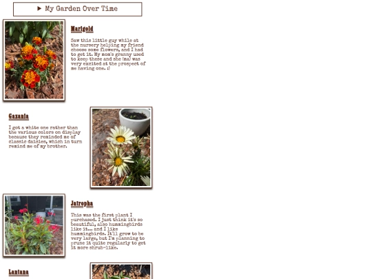 garden screenshot