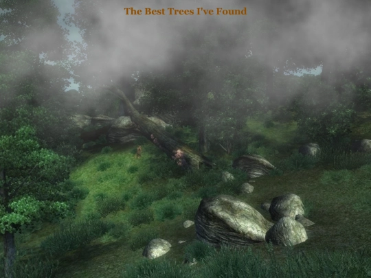 trees screenshot