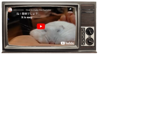 img/test screenshot