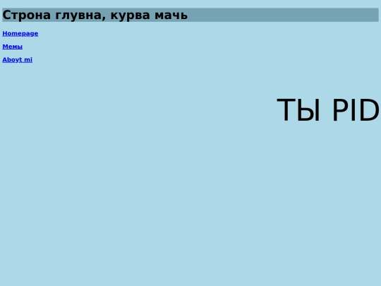 pidr screenshot