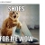 Cute Cat Memes!  avatar