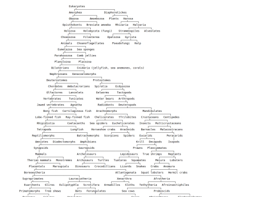 tree screenshot
