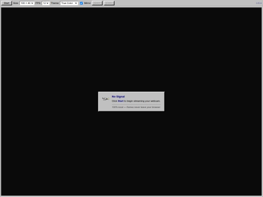 ascii-webcam screenshot