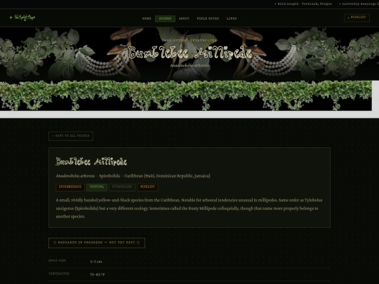 anadenobolus-arboreus screenshot