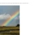 The web site of fiammetta avatar
