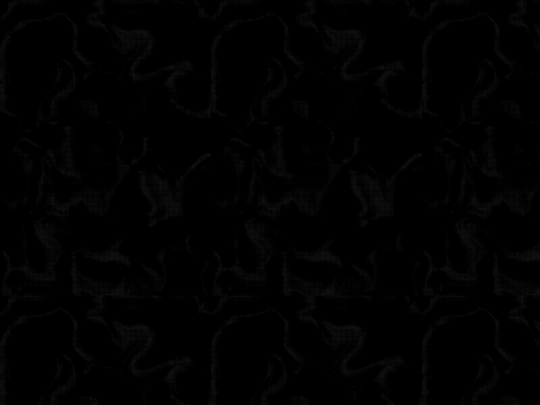 meow screenshot