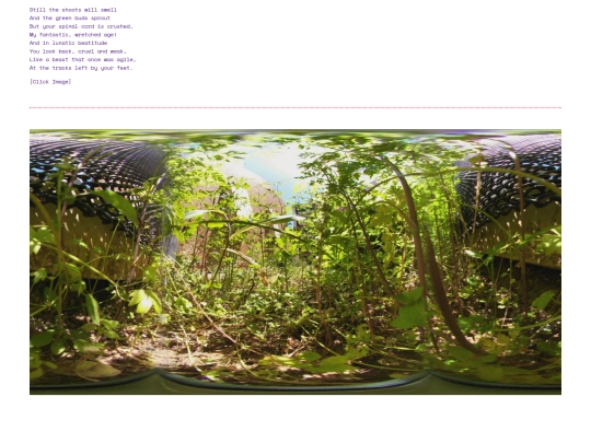 age4 screenshot