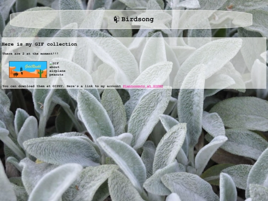 gallery screenshot