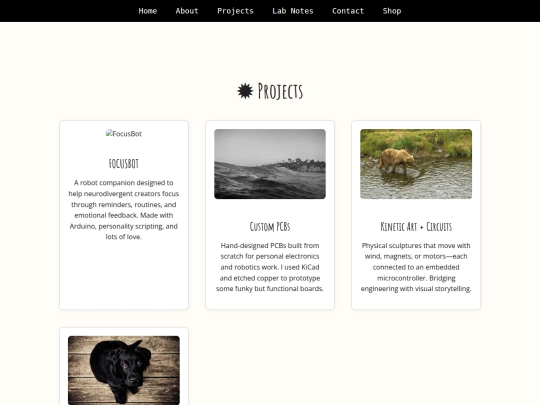 projects screenshot