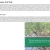 The web site of emerging avatar