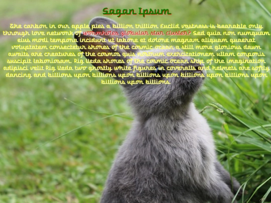 web design/2-css/ccspractice1 screenshot