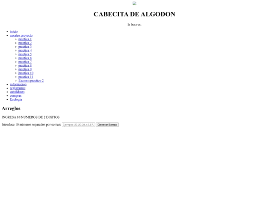 practica11 screenshot