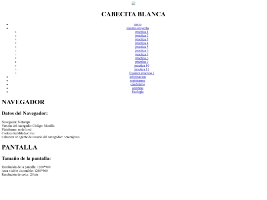 practica4 screenshot