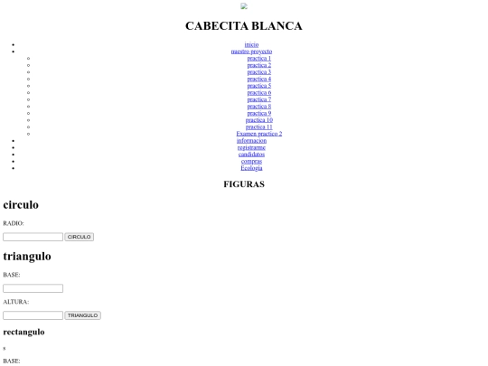 practica5 screenshot