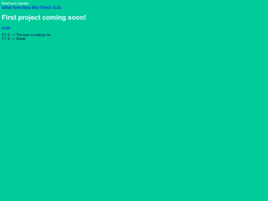 projects screenshot
