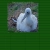 be7hel.yorniq.xyz avatar