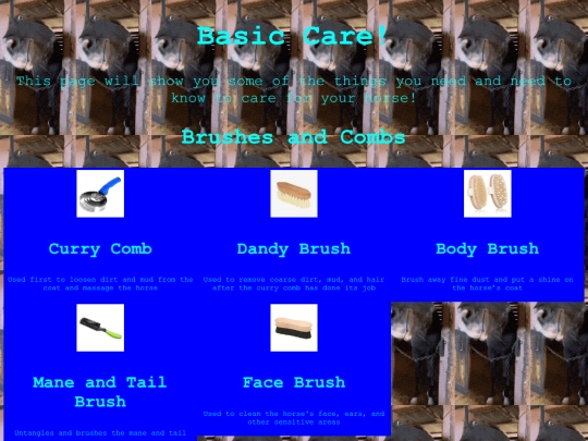 basiccare screenshot