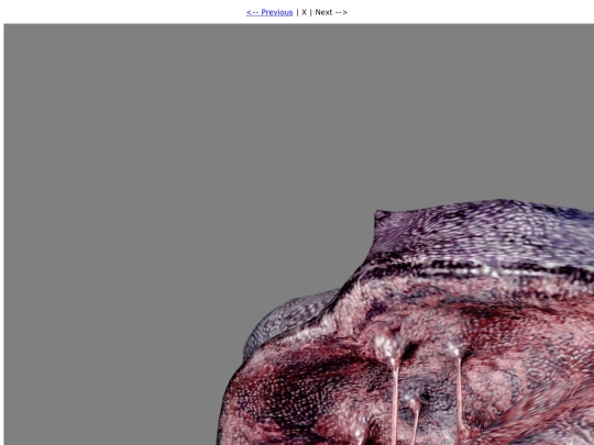 pictures/SH3_E3_03/worm screenshot