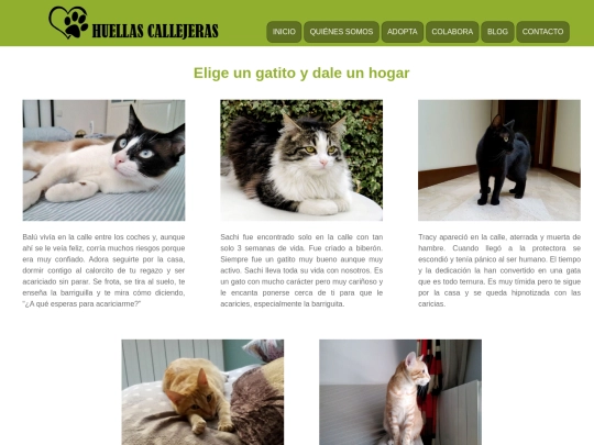 adoptagatos screenshot
