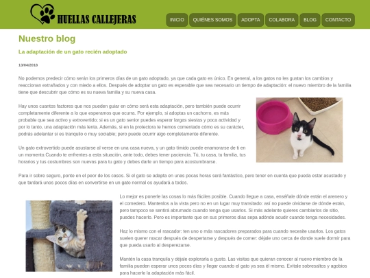 noticia1 screenshot